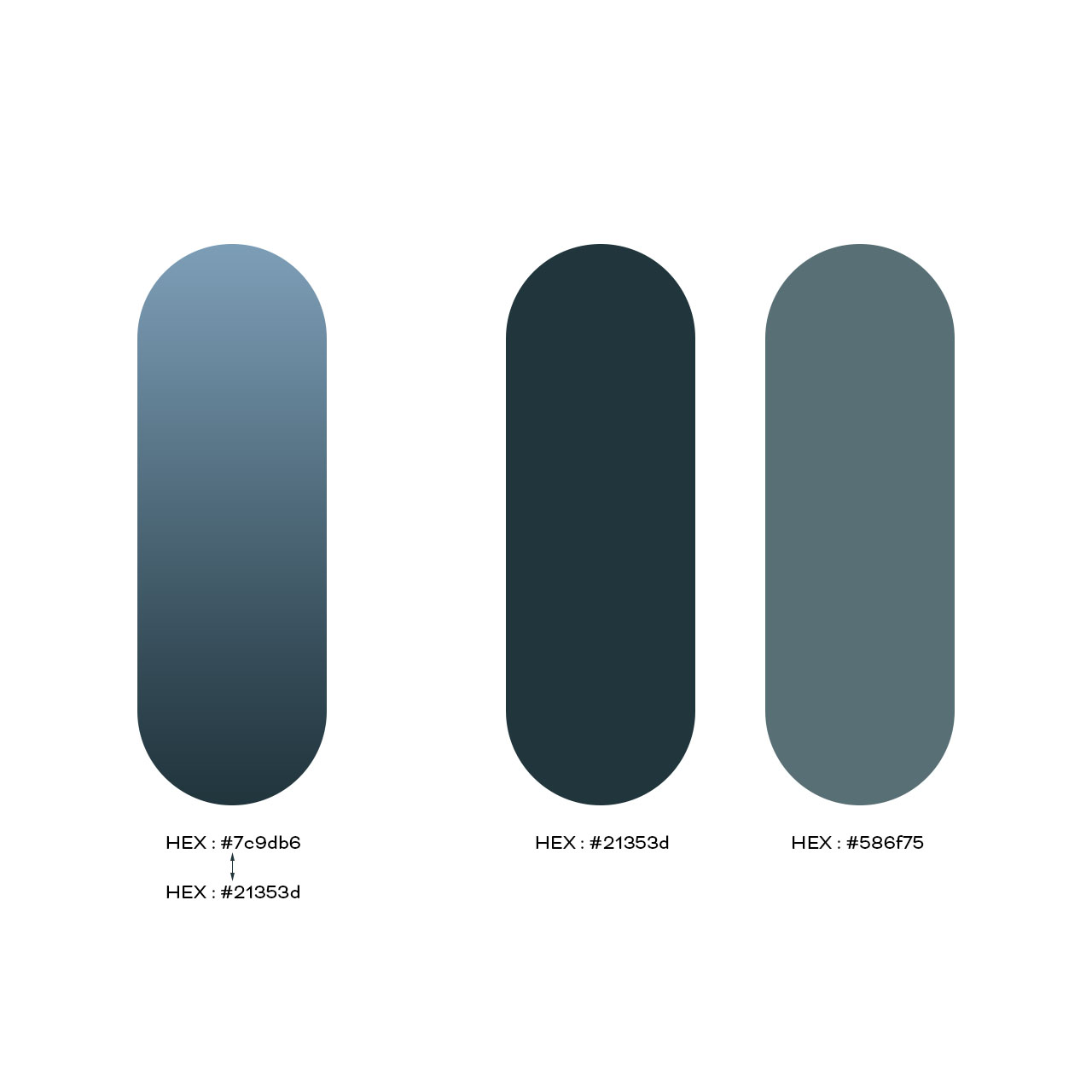 03-Template_Color