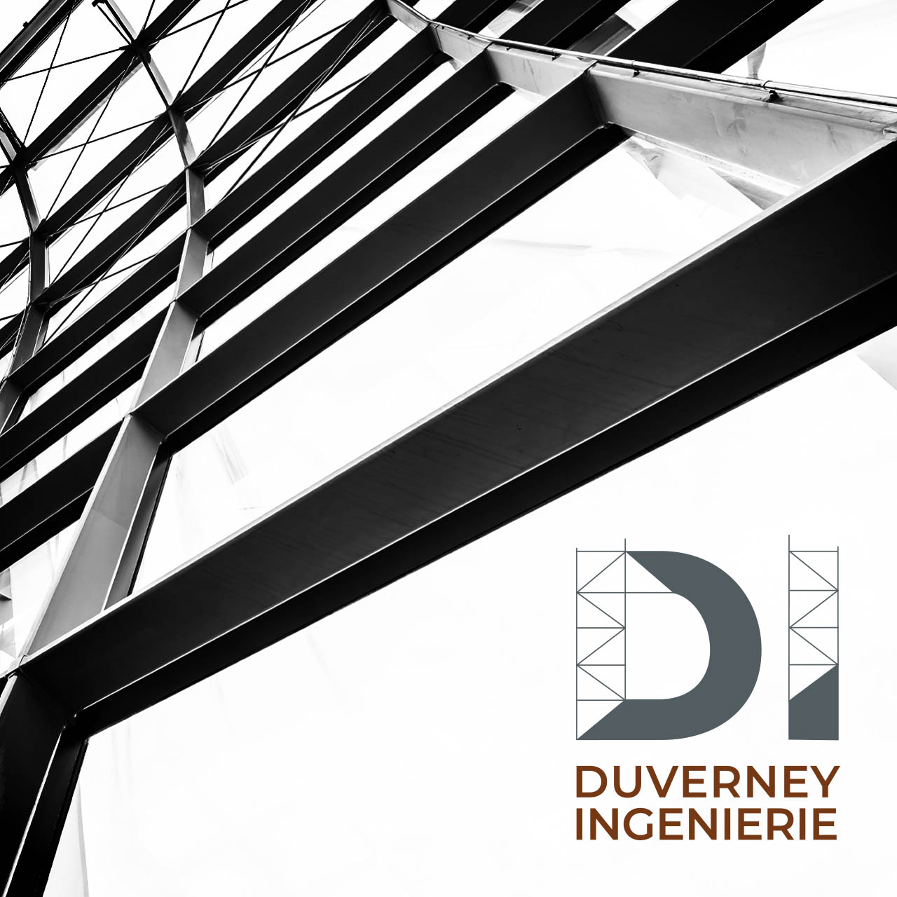 Branding – Duverney Ingénierie