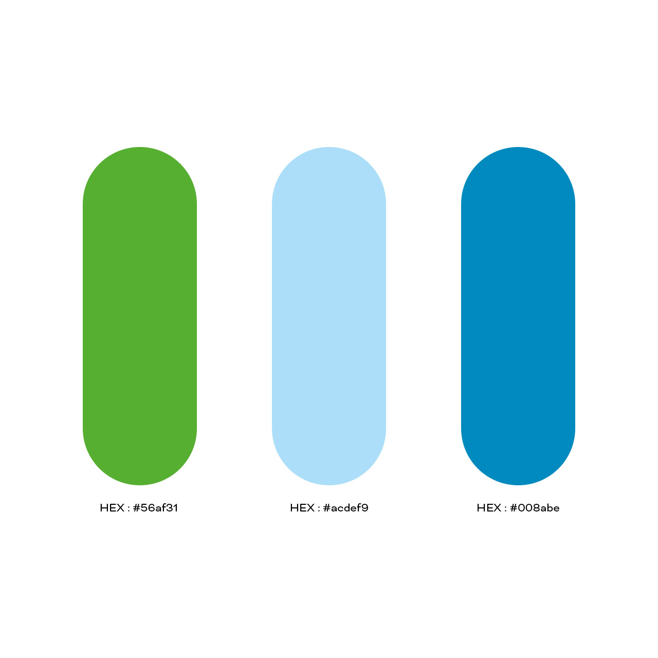 03-Template_Color