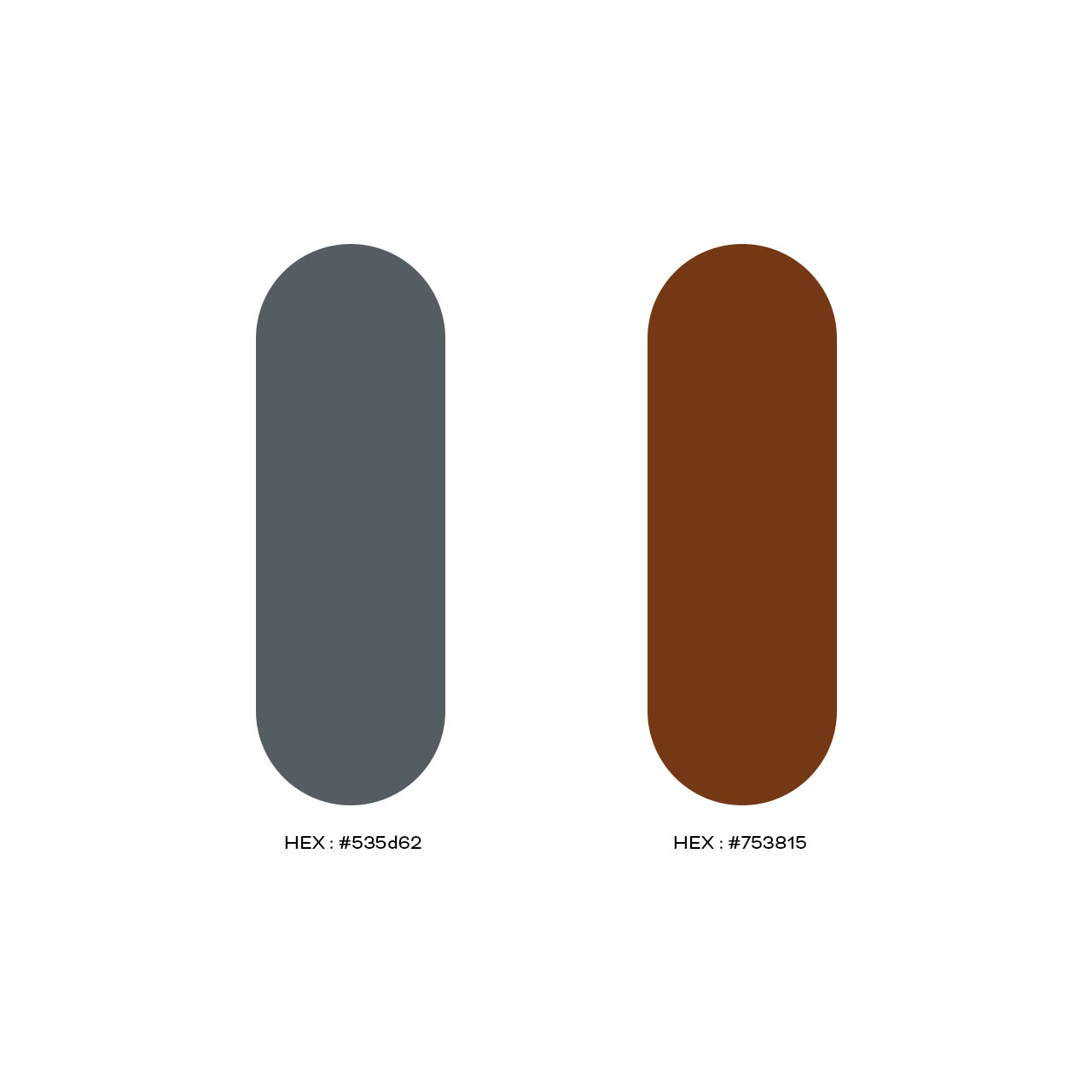 Création d’identité visuelle – Duverney Ingénierie