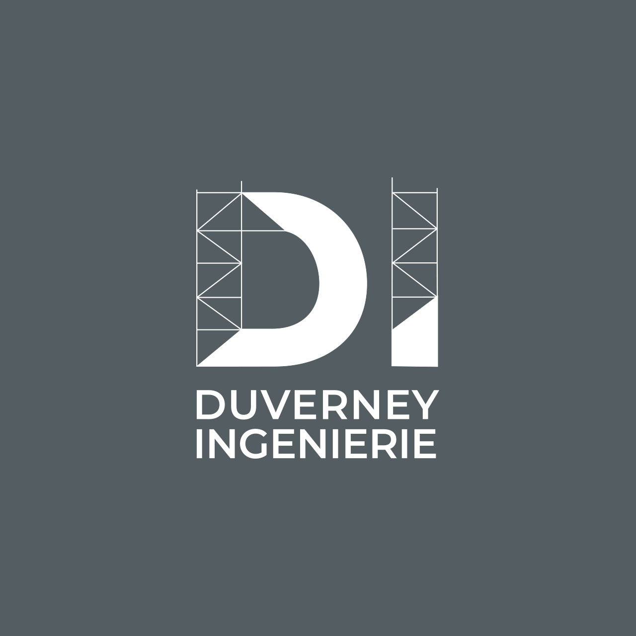 Identité visuelle – Duverney Ingénierie